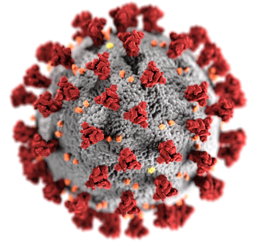Come funziona il vaccino per COVID-19 di BioNtech-Pfizer